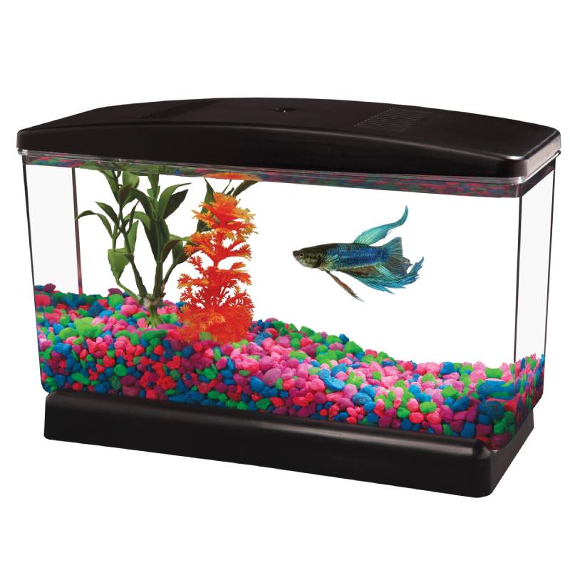 0.5 Gallon Betta Tank - Koller Products