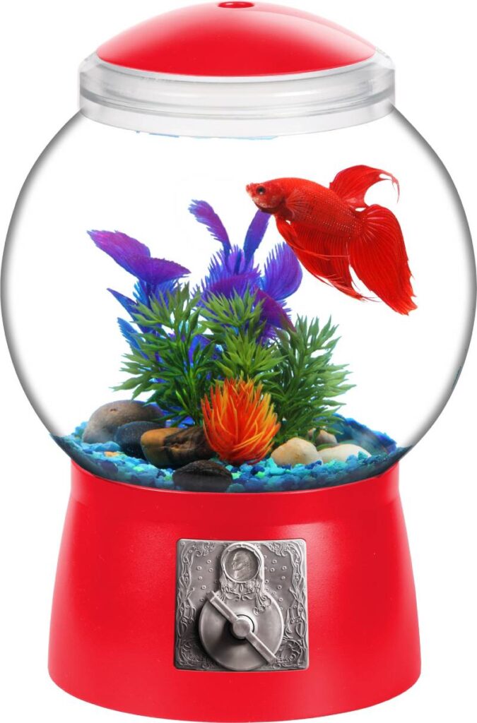 https://www.kollerproducts.com/wp-content/uploads/2020/09/1-1.5and-2-Gallon-Gumball-Aquarium-675x1024.jpg