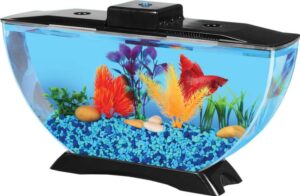 AP11104FFP LED Light Koller Products 1-Gallon Betta Aquarium Kit Power Filter and Betta Fish Tank 