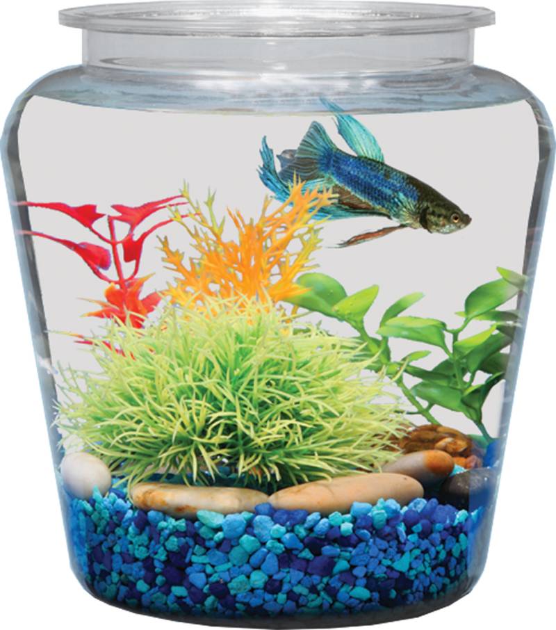 1 Gallon Vase Bowl - Koller Products