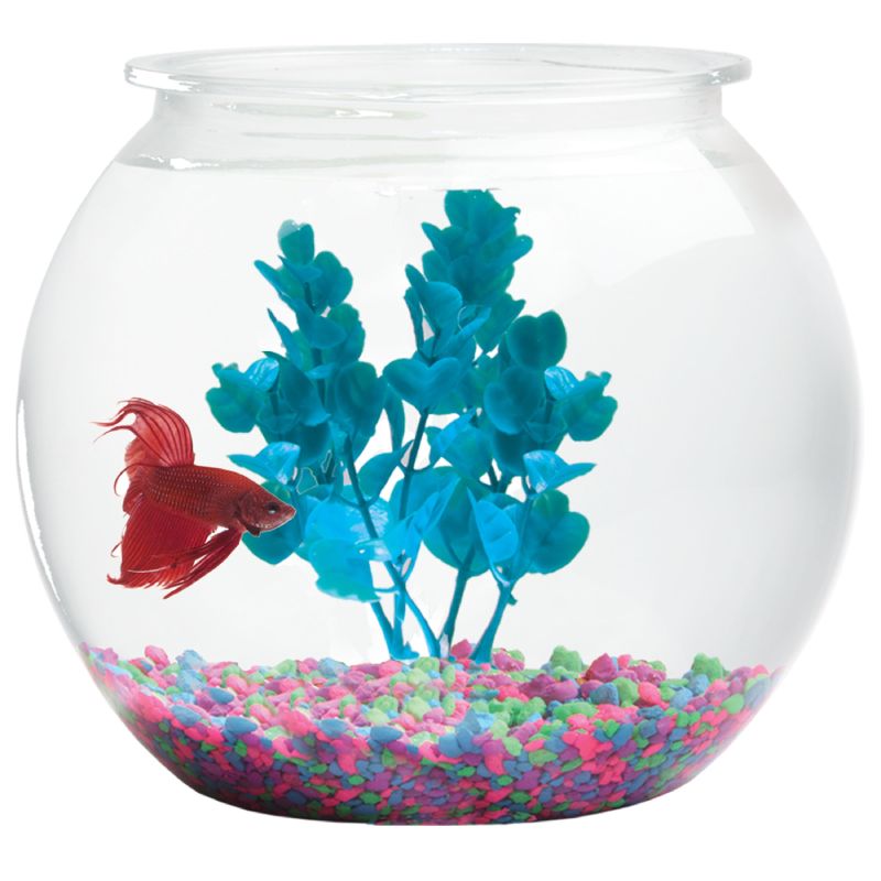 1 And 1 5 Gallon Fish Bowl Koller Products