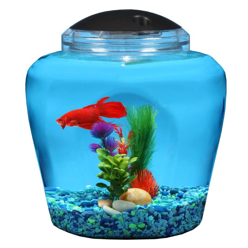 2 Gallon Vista Bowl - Koller Products