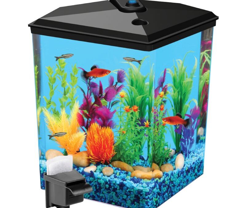 2.5 Gallon Corner Aquarium Kit