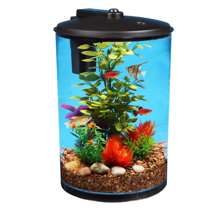 3 Gallon Fish Tank 2 3 Gallon Fish Tank