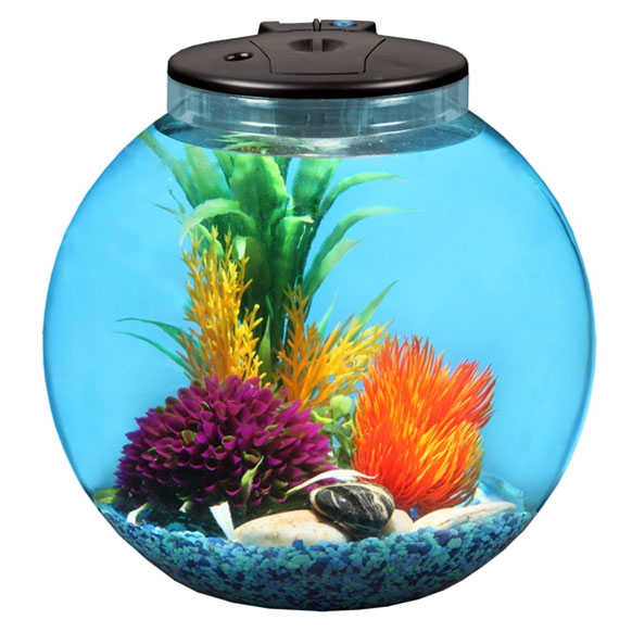 3 Gallon Globe with Filter
