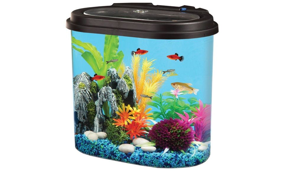 4.5 Gallon Stadium - Koller Products