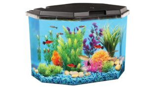 6 Gallon 360 View - Koller Products