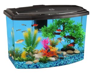 Aqua Culture Betta View 1/2-Gallon Fish Tank with Full Hood