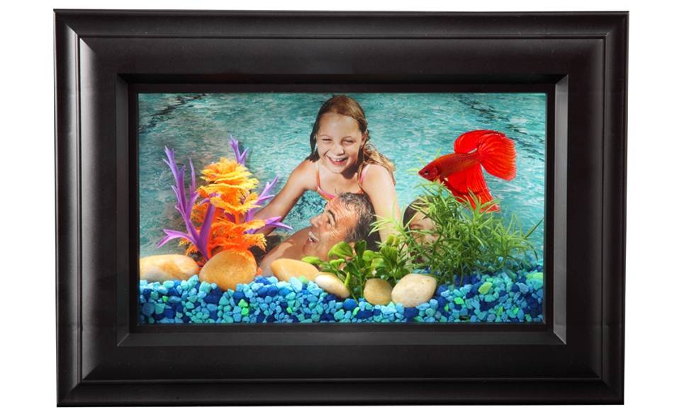 .75 Gallon Picture Frame Aquarium