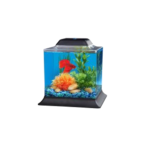 Betta Kits with LED Lighting