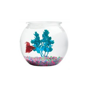 Fish Bowls PET