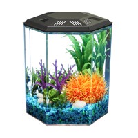 1 Gallon Hex Betta Tank & Lid